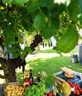 Gäste genießen ein entspanntes BBQ bei einem privaten Event im Garten